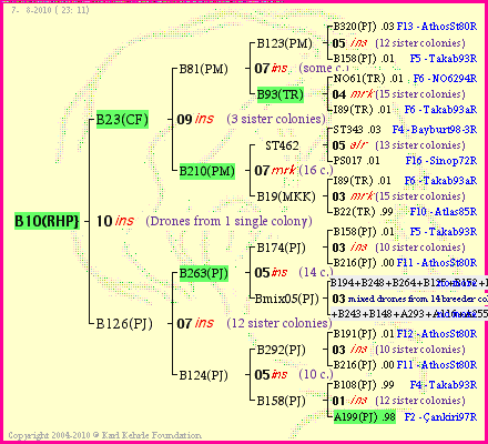 Pedigree of B10(RHP} :
four generations presented